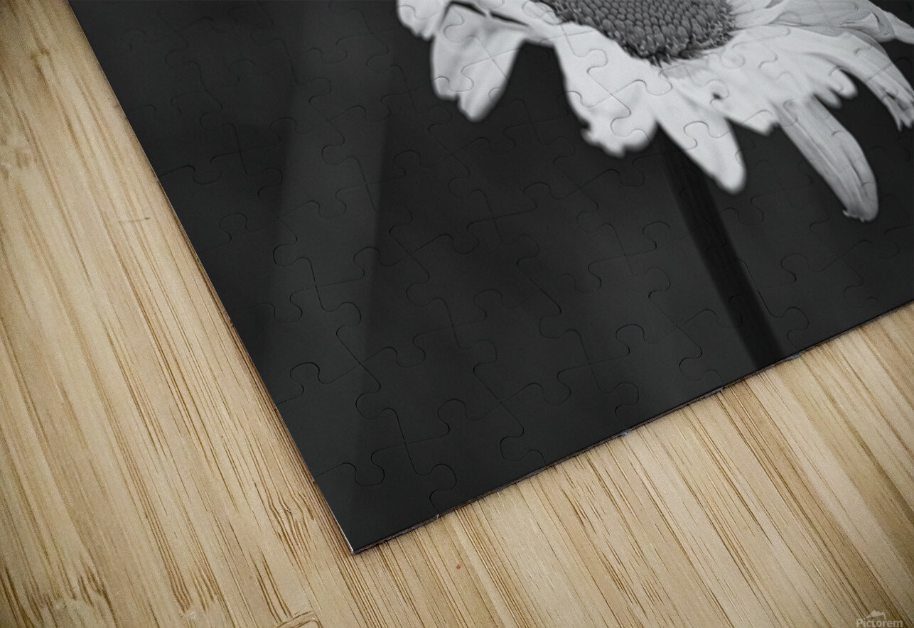 A Spring Tune Psyence Photography Puzzle