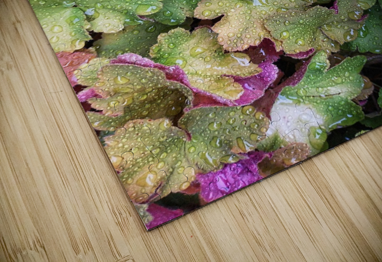 V1274 Natalie Stanislavsky Puzzle