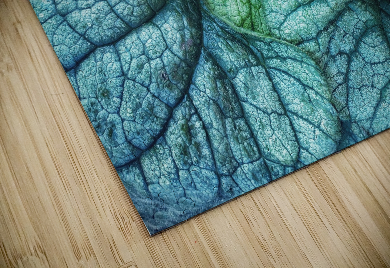 V1275 Natalie Stanislavsky Puzzle