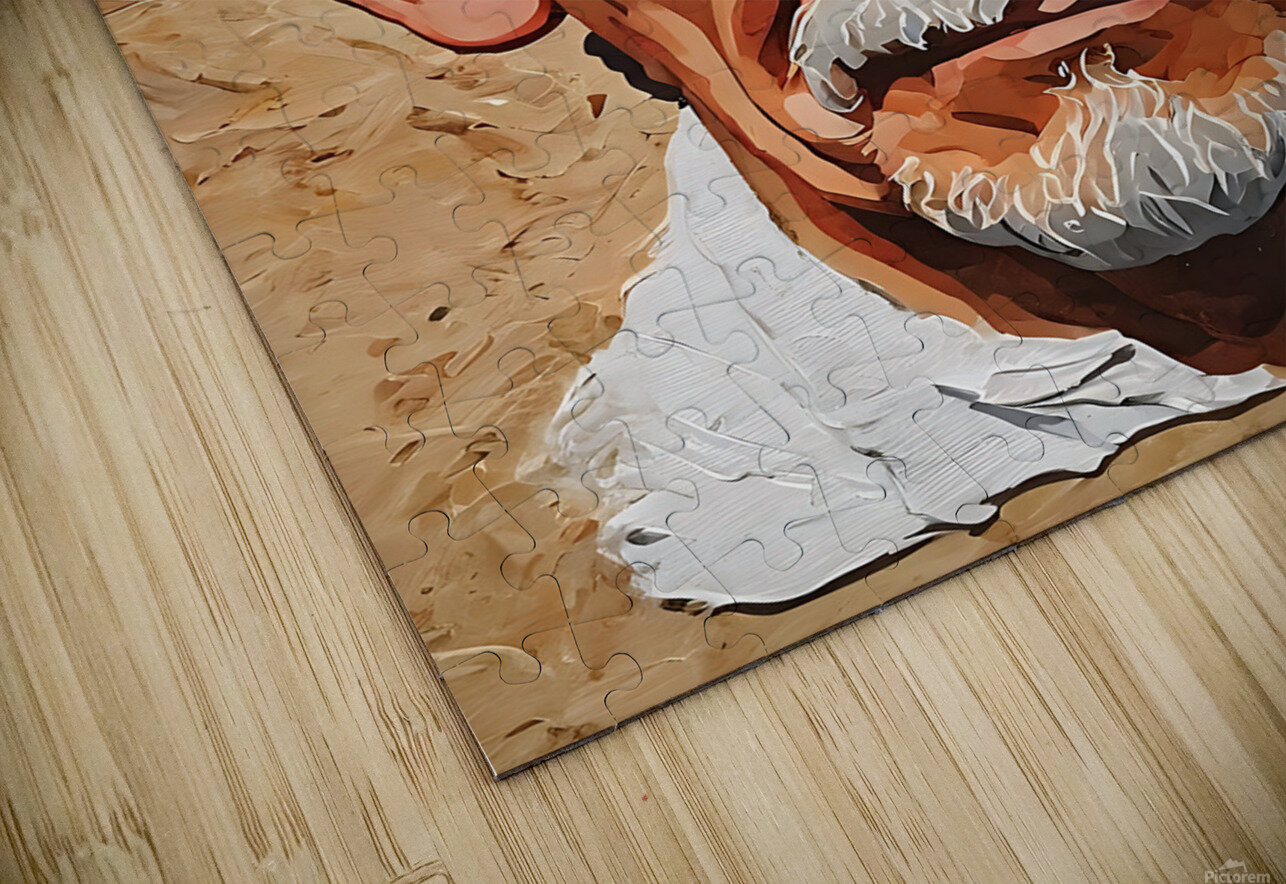 Ian McKellen  Winston Mauricio Casco Sobalvarro Puzzle