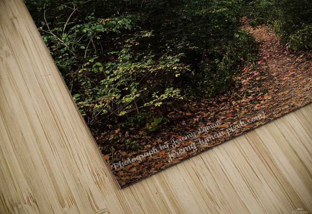 Hidden Trail in Autumn Leaves Jeremy Lyman Puzzle