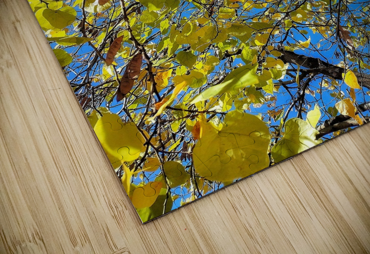 V1283 Natalie Stanislavsky Puzzle