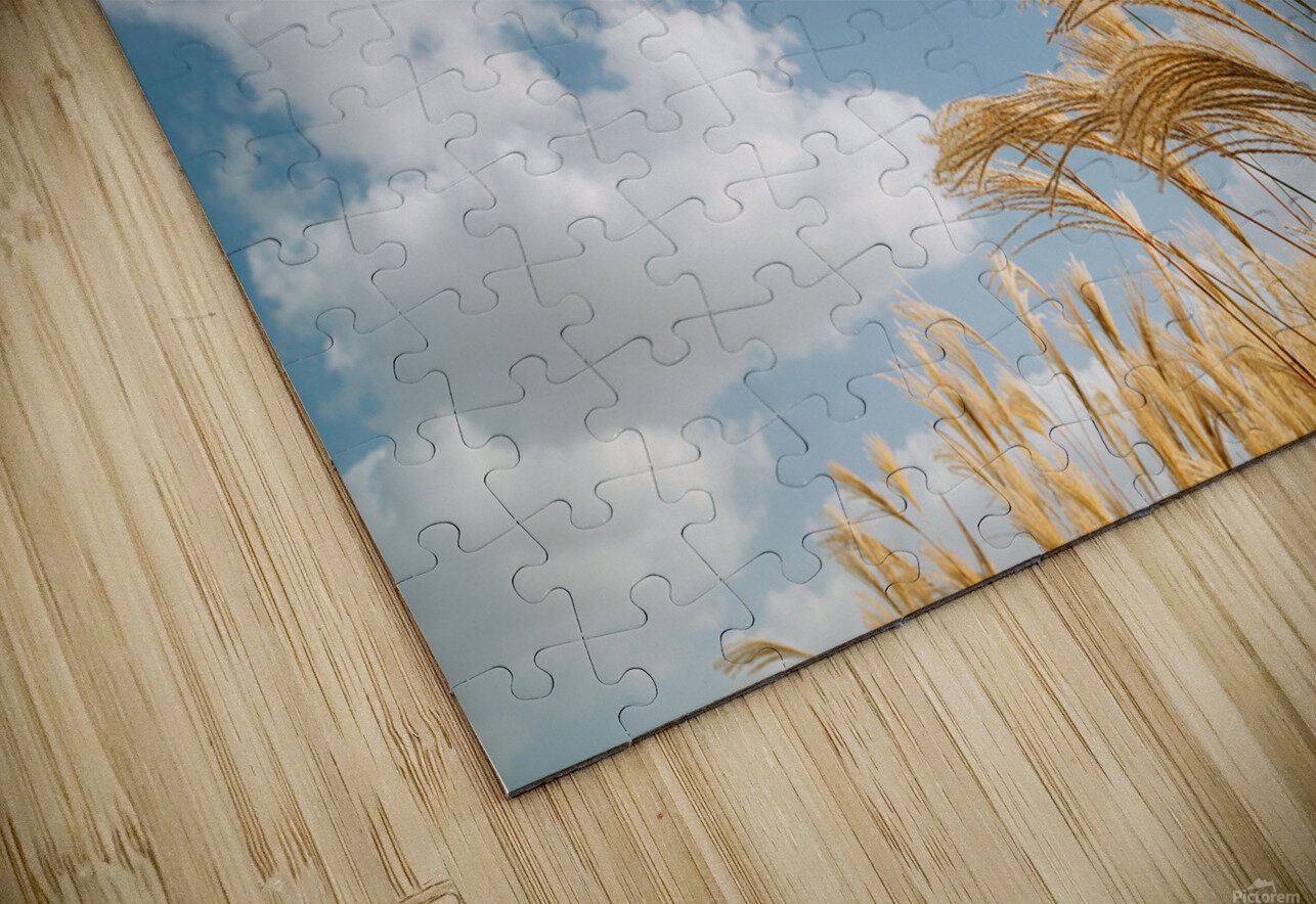 Autumn reeds sanga Puzzle