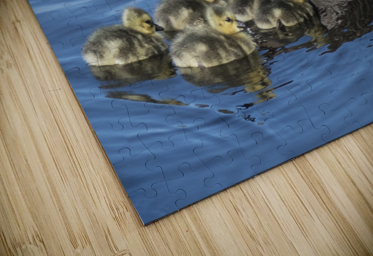 FS240422 430 FOTOSQUARES COM Puzzle