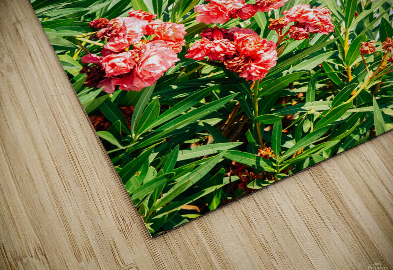 Greek Parliament sanga Puzzle