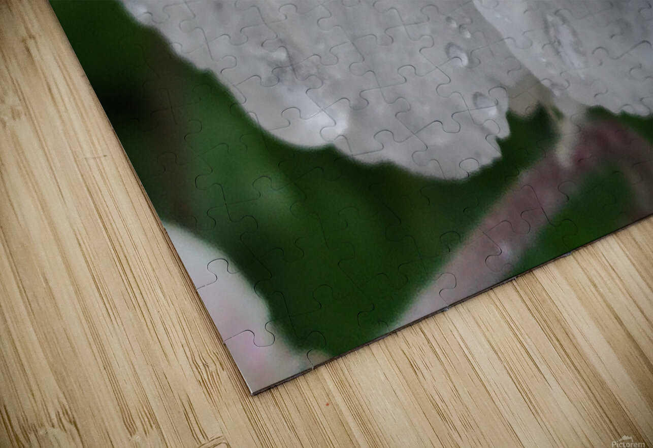 droponflowera Ana Duhne Puzzle