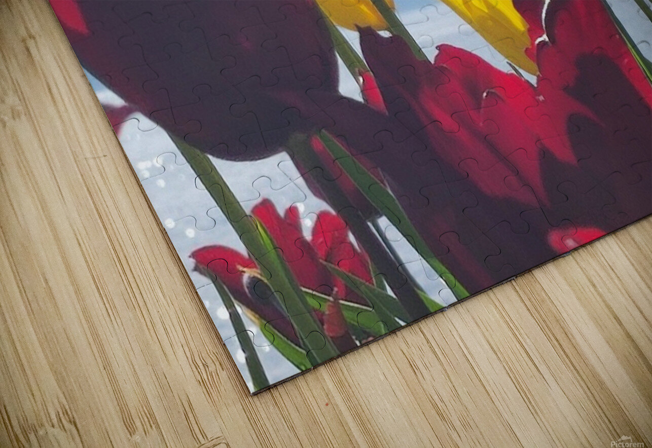 floresalrya Ana Duhne Puzzle