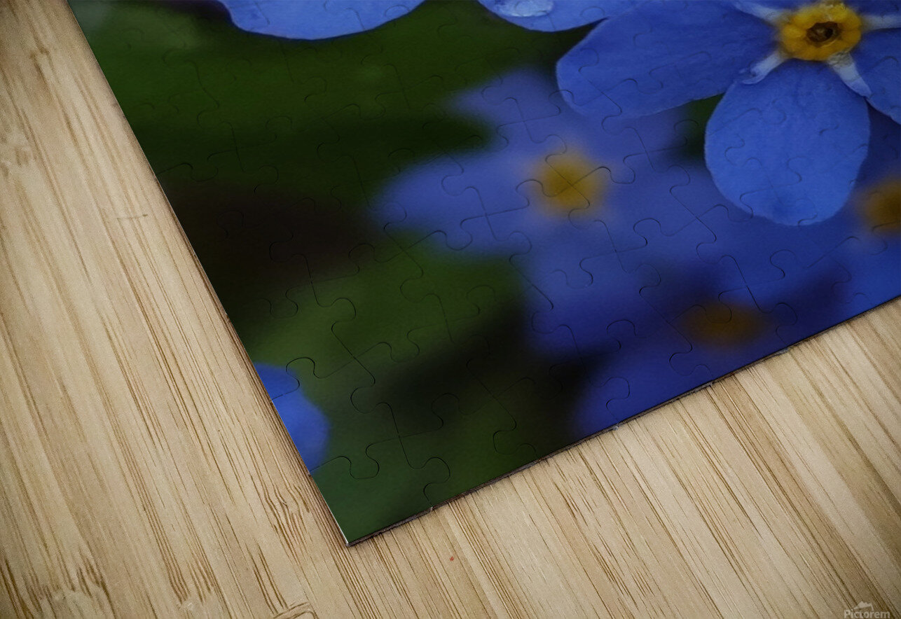 IMG 20240418 173857 Ana Duhne Puzzle