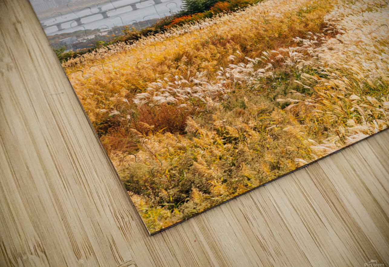 Seoul autumn scenery sanga Puzzle