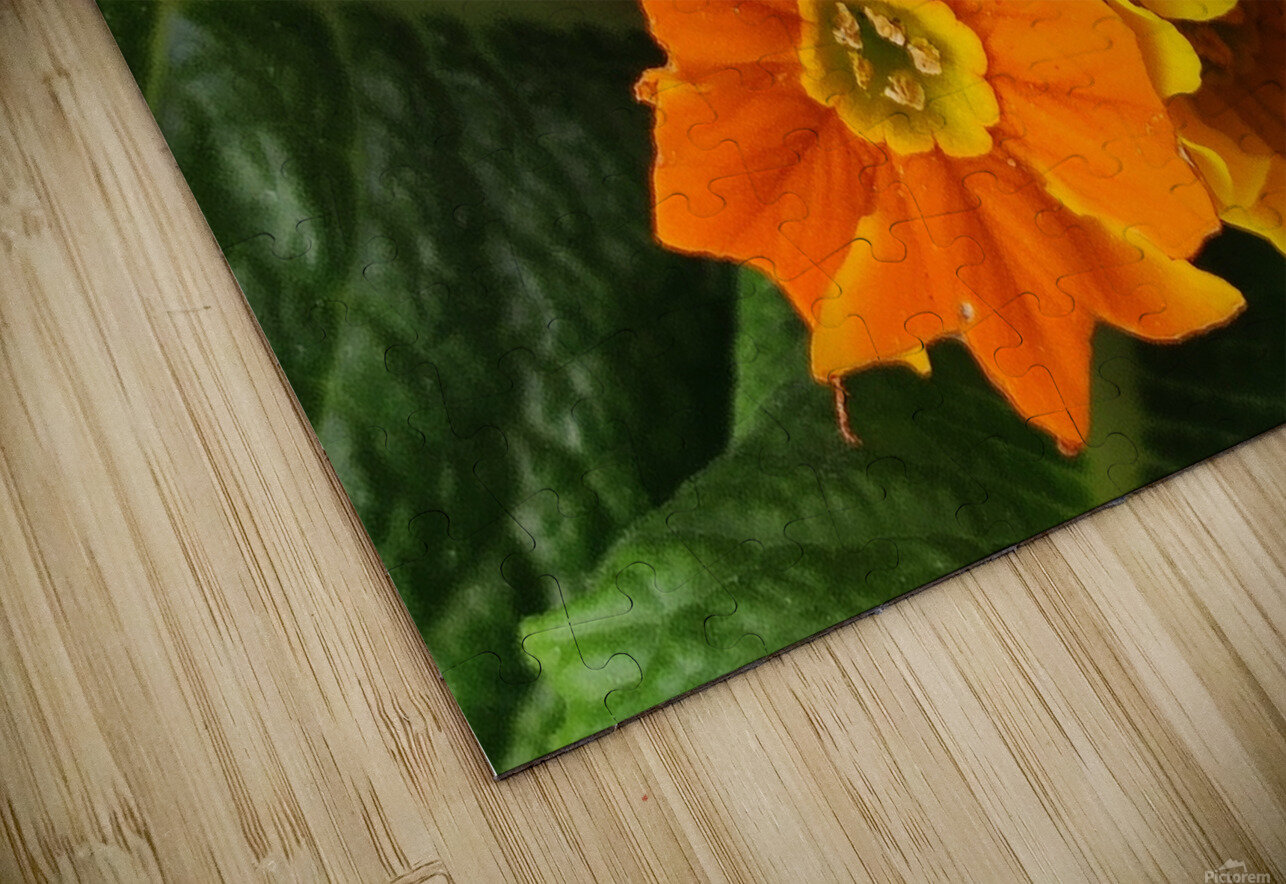 IMG 20240410 122004 Ana Duhne Puzzle