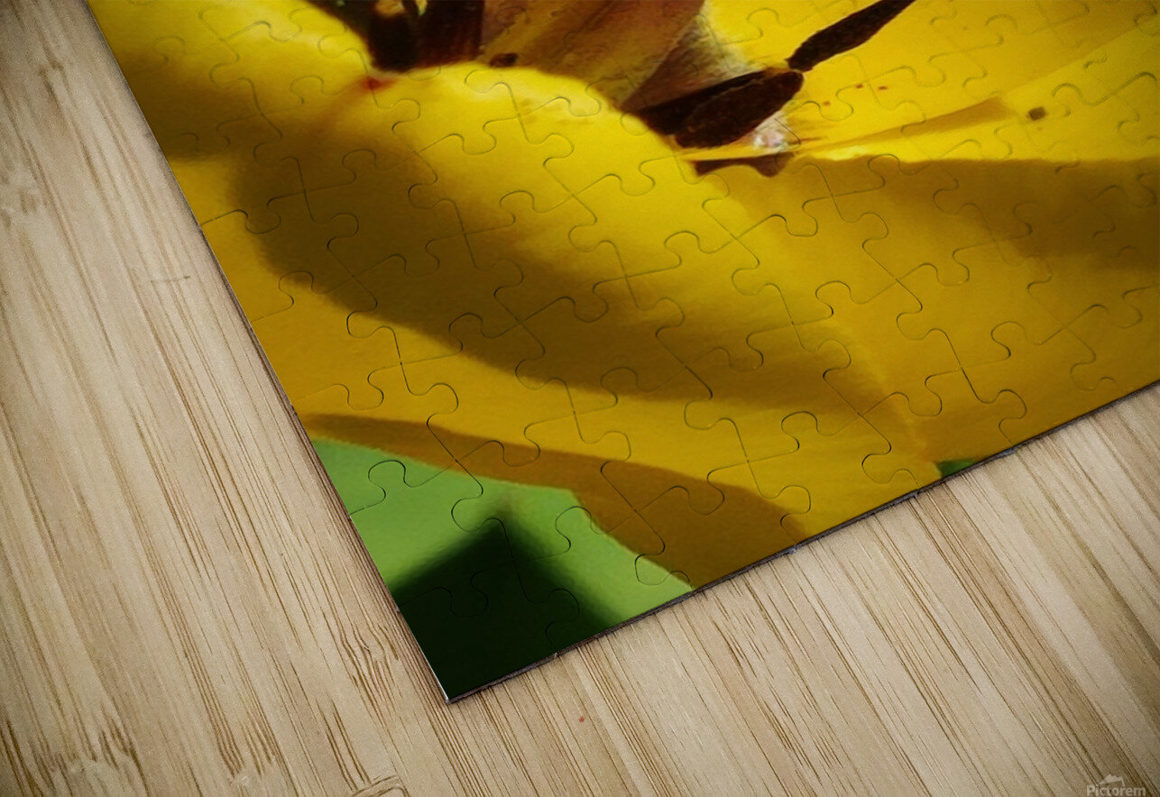 IMG 20240411 145209 Ana Duhne Puzzle