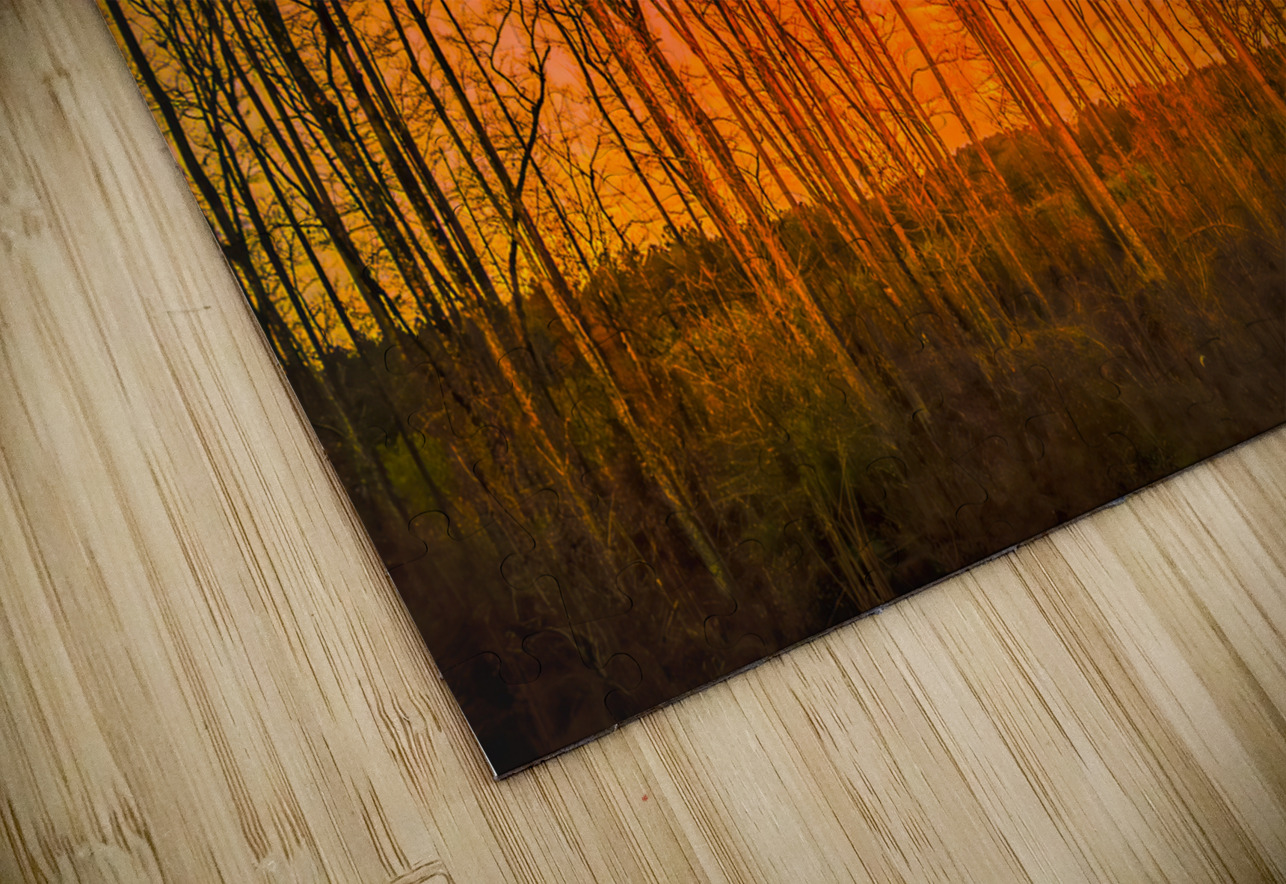 Georgia Forest Orange Sunset Silhouettes Norma Brandsberg Photography Puzzle