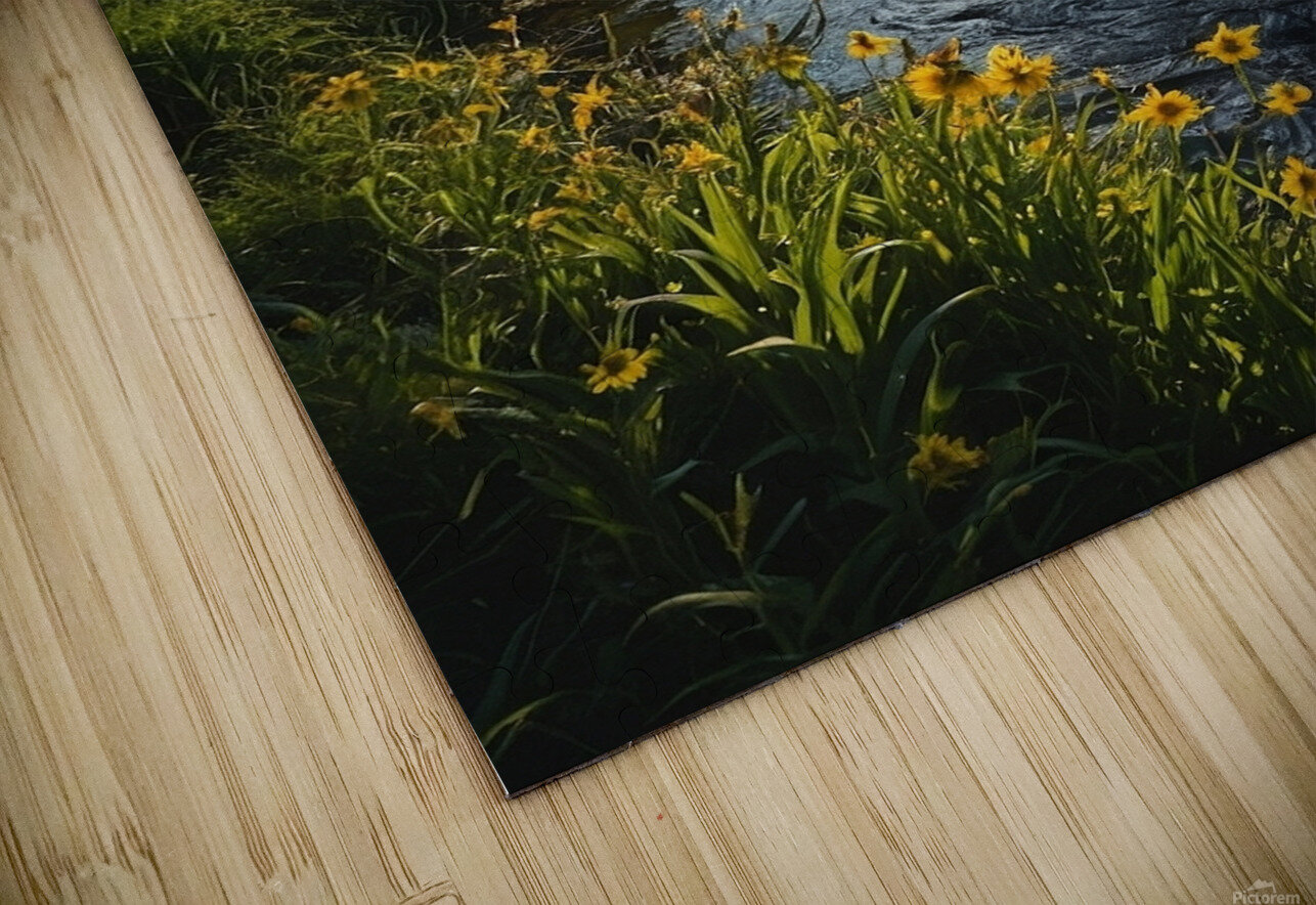 summer folest brook Heart Puzzle