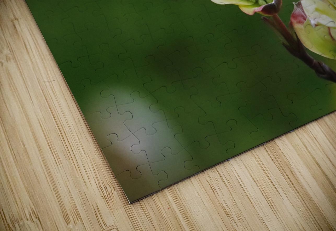 Yellow Dogwood Deb Oppermann Puzzle