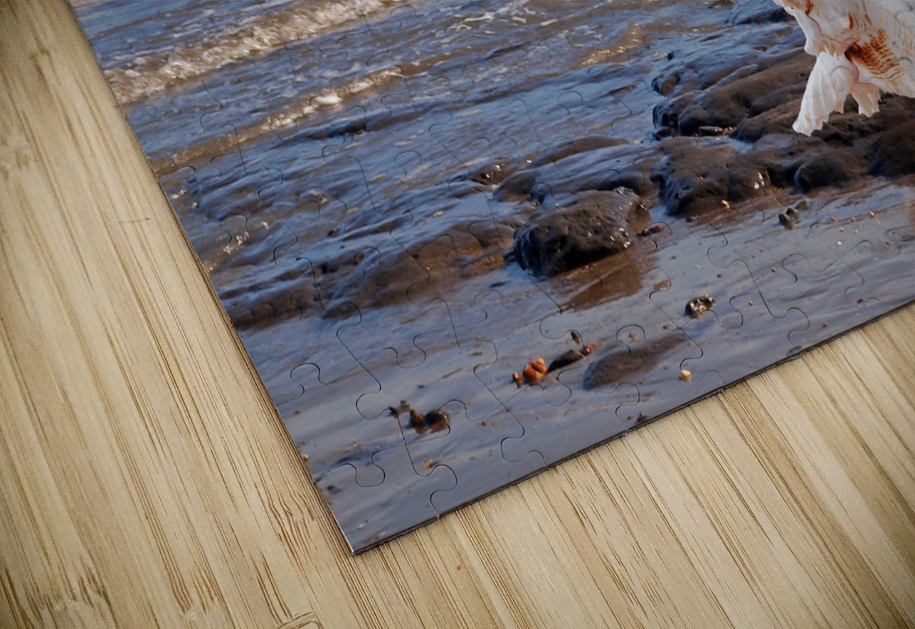 Call of the Ocean - Murex Seashell Gill Billington Puzzle
