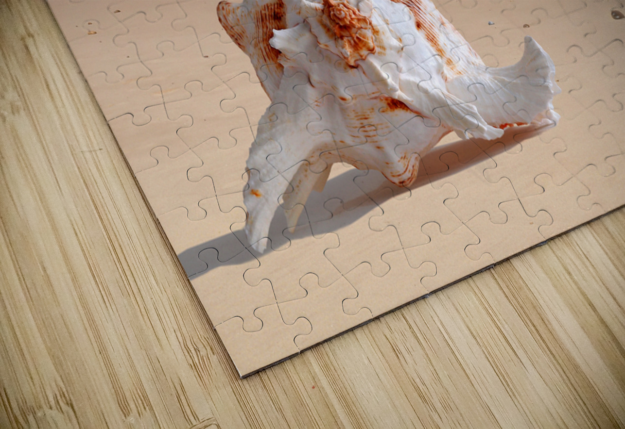 Summer Tide - Murex Seashell Gill Billington Puzzle