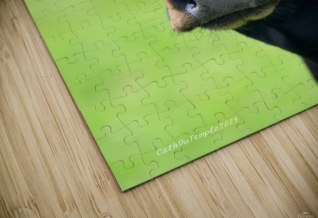 139 Cath DuTemple Puzzle