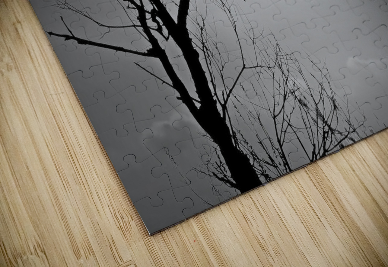 Sunrise is for the Birds by Maureen Ravnik  The Pix Puzzle