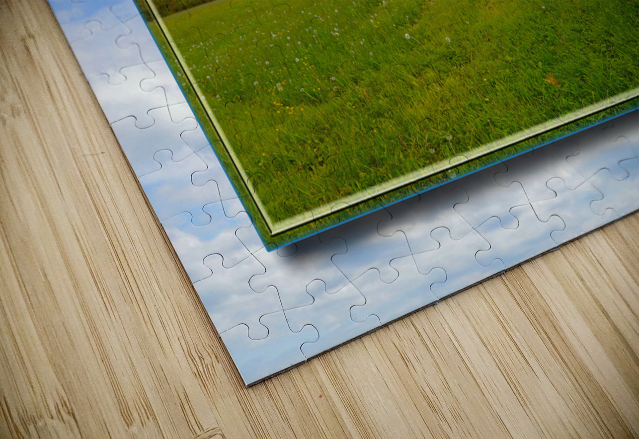 Country Meadow Ver 2  PIXquisate Puzzle