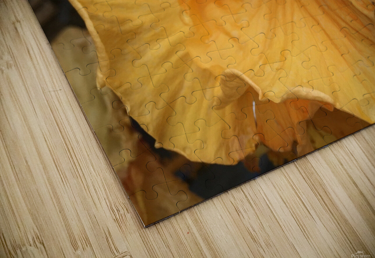 Golden Yellow Hibiscus WRR Puzzle