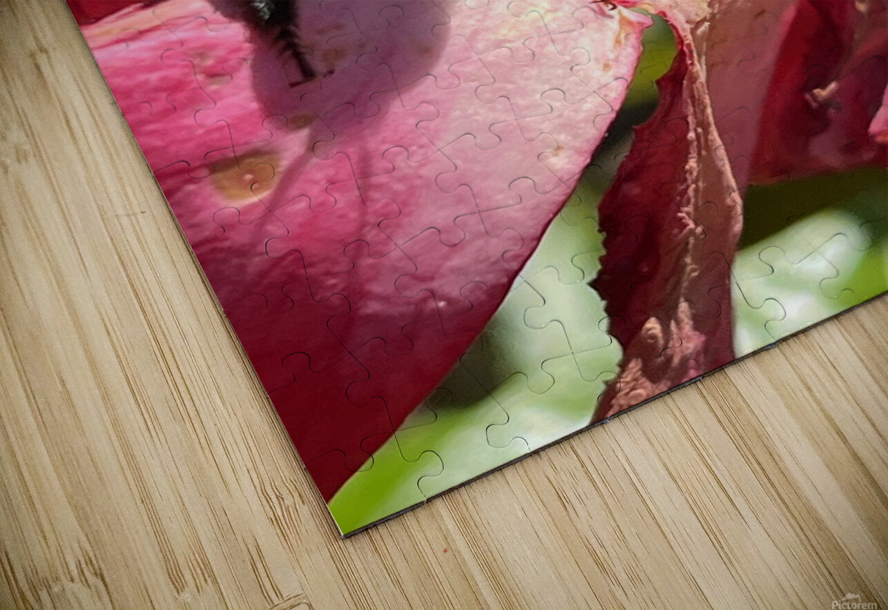 Bumble Bee WRR Puzzle