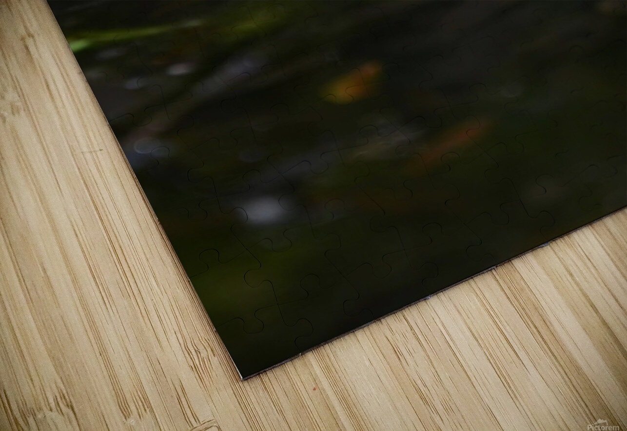 Theo Shirley Chaotic Puzzle