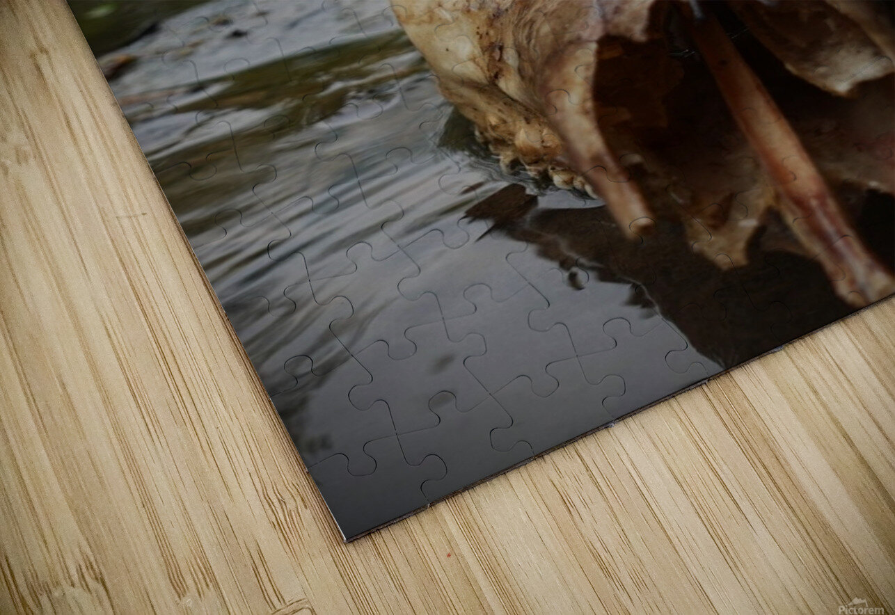 Deer Skull Shirley Chaotic Puzzle