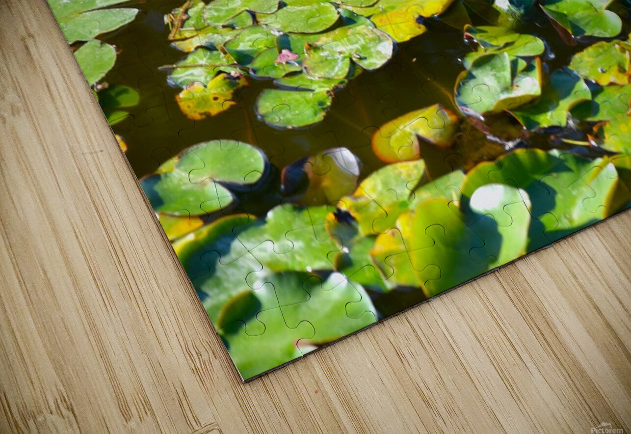 The 3 Amigos  Shirley Chaotic Puzzle