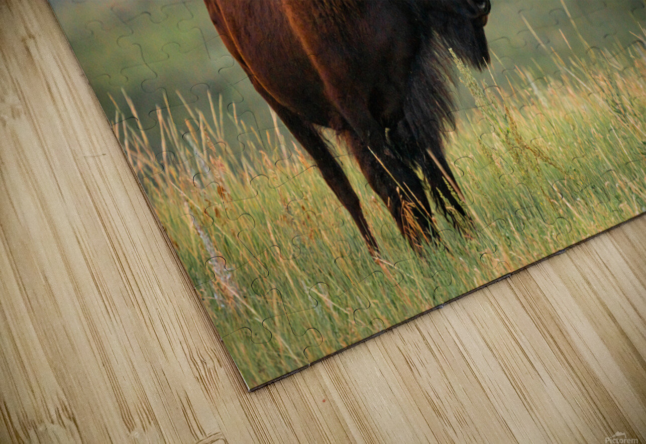 DSC00443 Enhanced SR Crow Peak Photography Puzzle