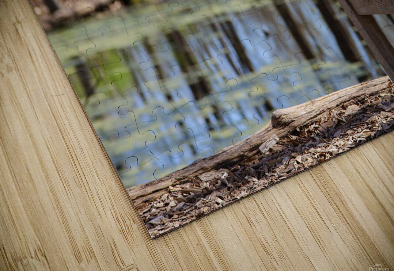 Nature’s View Caleb Pentoney Star Focus Photography Puzzle