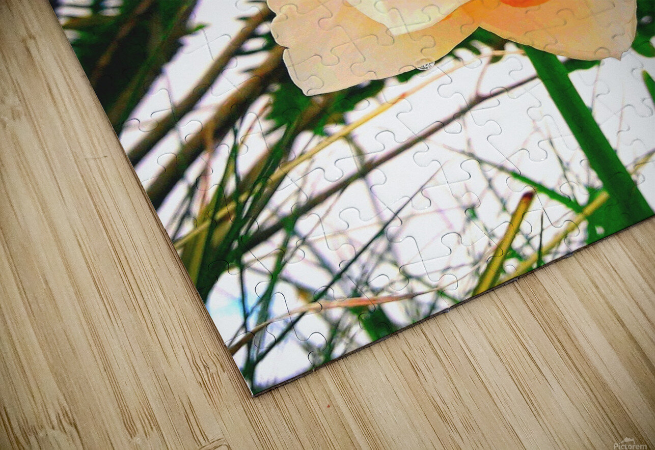 Orange&White Flower Eileen Photography Puzzle