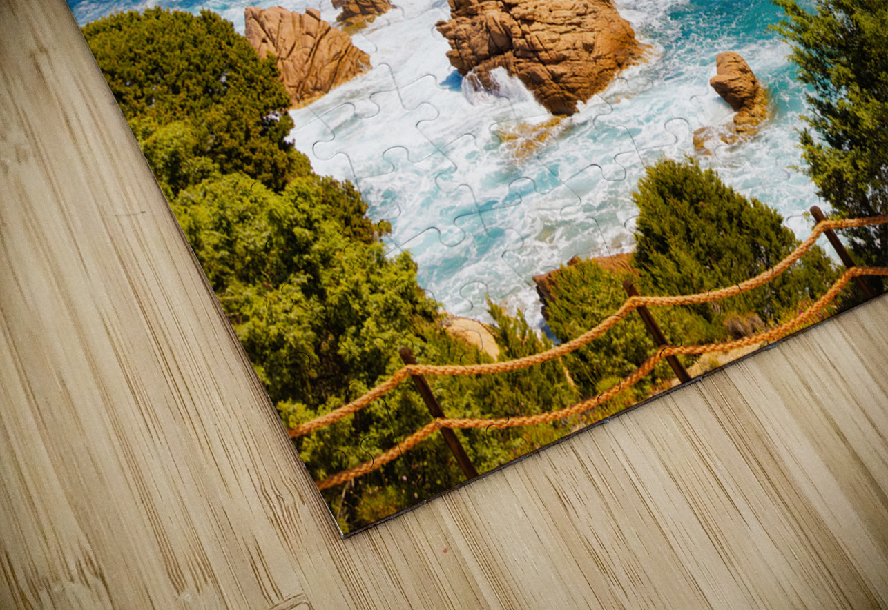 Wild Beauty - CR2405-0575-REA JordiCarrio Puzzle