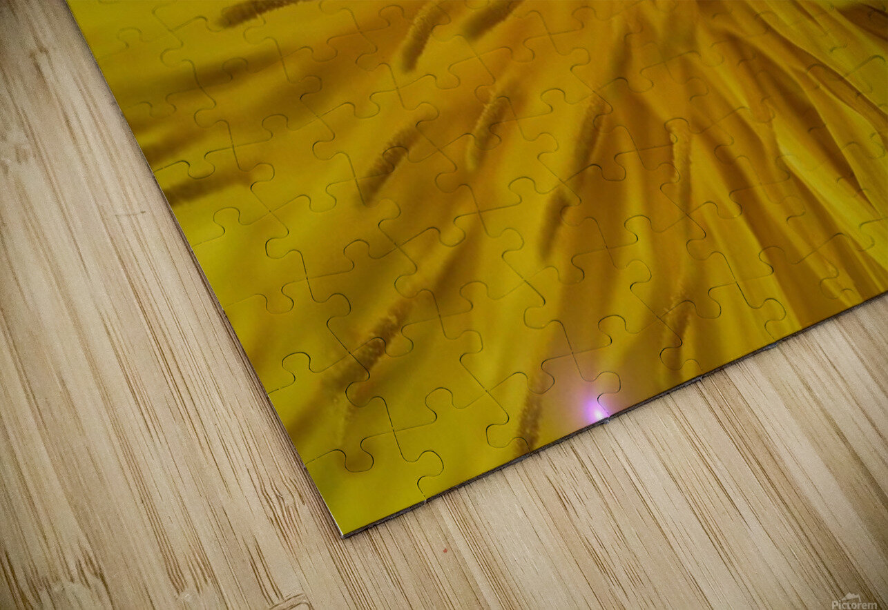  IGP1244 Doug VandeBurgt Puzzle