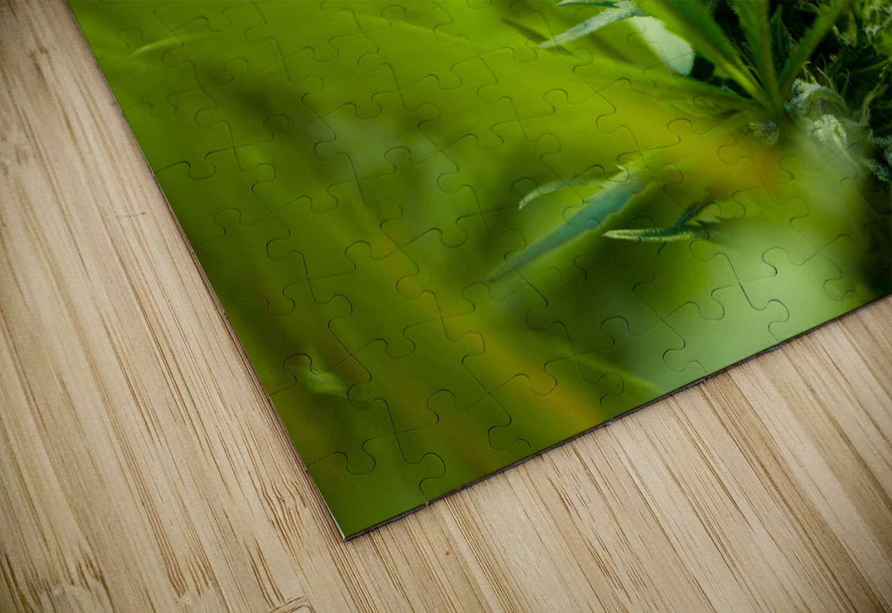 Ethereal Foliage Heather Marie Clark Puzzle