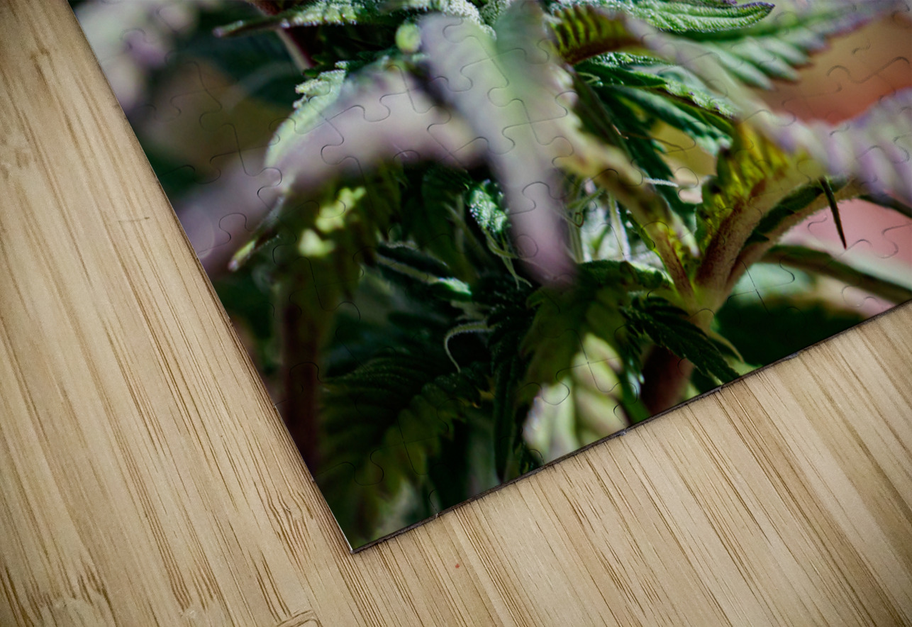 Pretty in Pink & Green Heather Marie Clark Puzzle