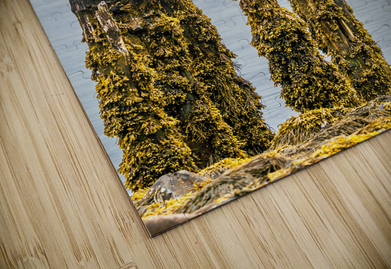 Air Drying Geoffrey Prior Puzzle