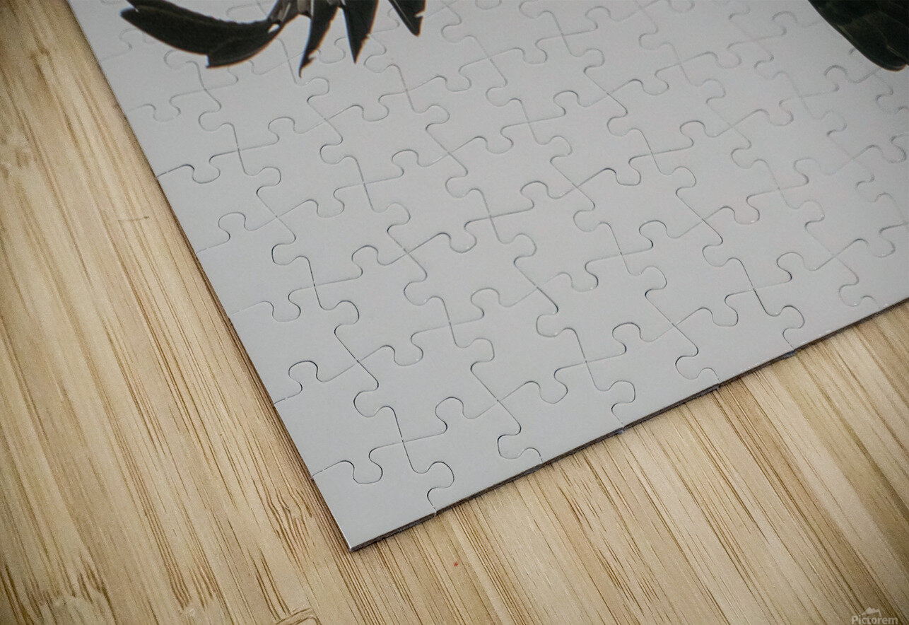 IMG 6945 Anthony Cummins Puzzle