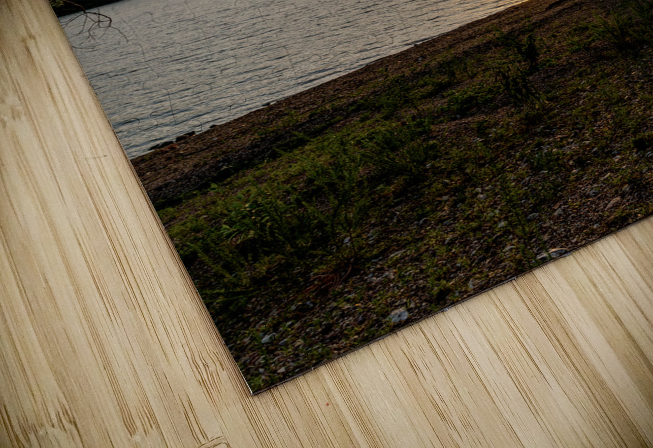 Curvy Tree Golden Sunset Jennifer White Puzzle