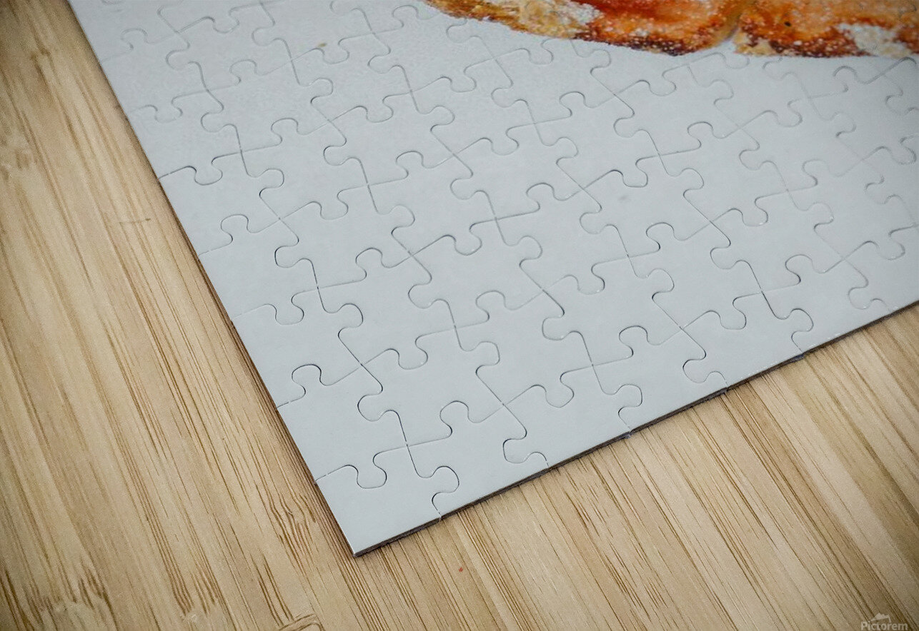 A2FB520D C5A5 4590 AAC8 8A7035351DDD Leanardo dafinshi Puzzle