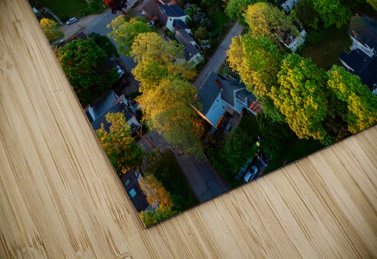 Downtown Wiscasset Rick Berk Puzzle