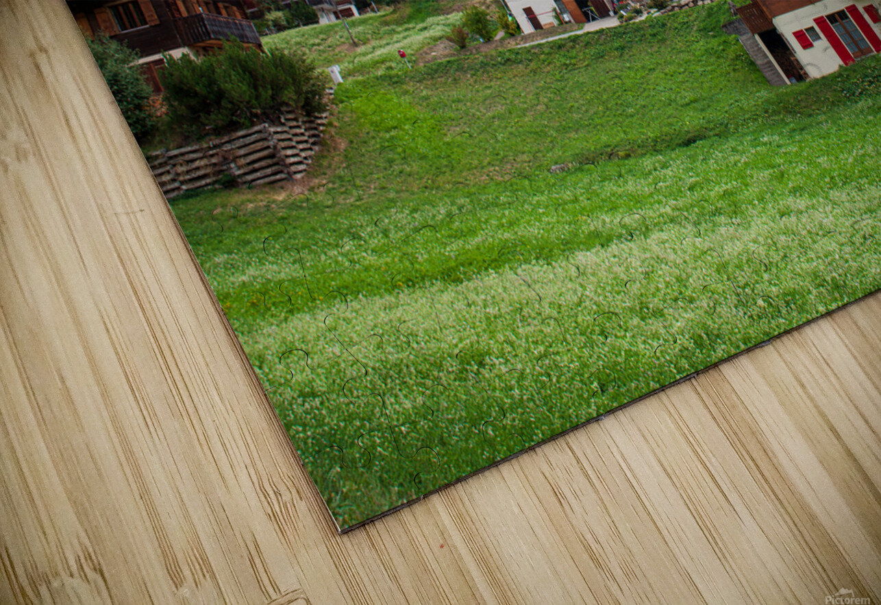 Charming houses dotting the Swiss Alps in Switzerland. Peter Pike Puzzle
