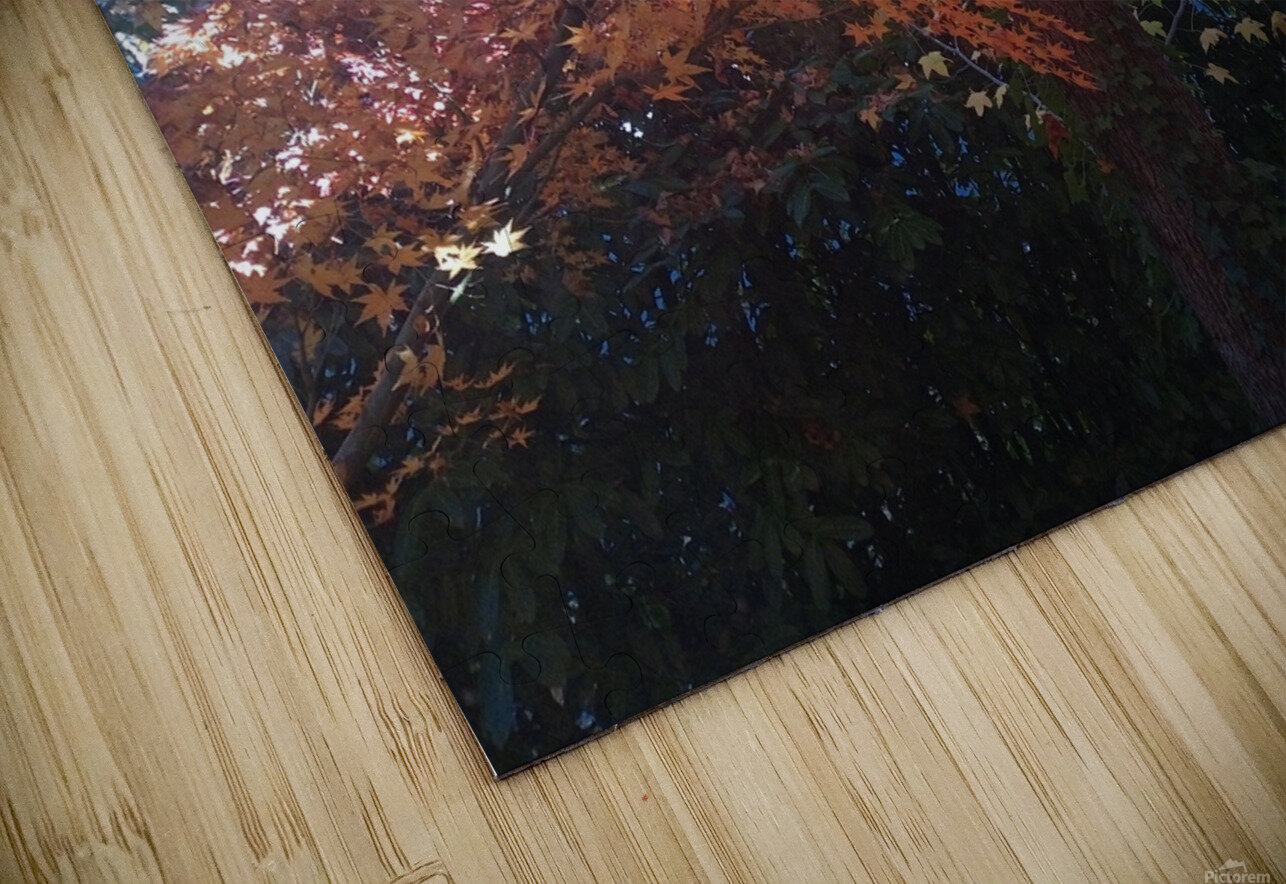 Ethereal Series 4 Ivanka Jane WALKER Puzzle