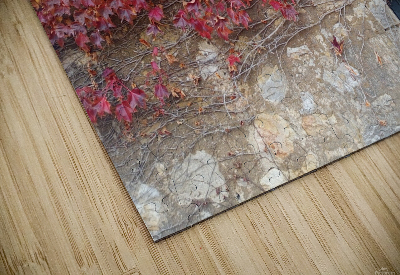 Vine Ivanka Jane WALKER Puzzle