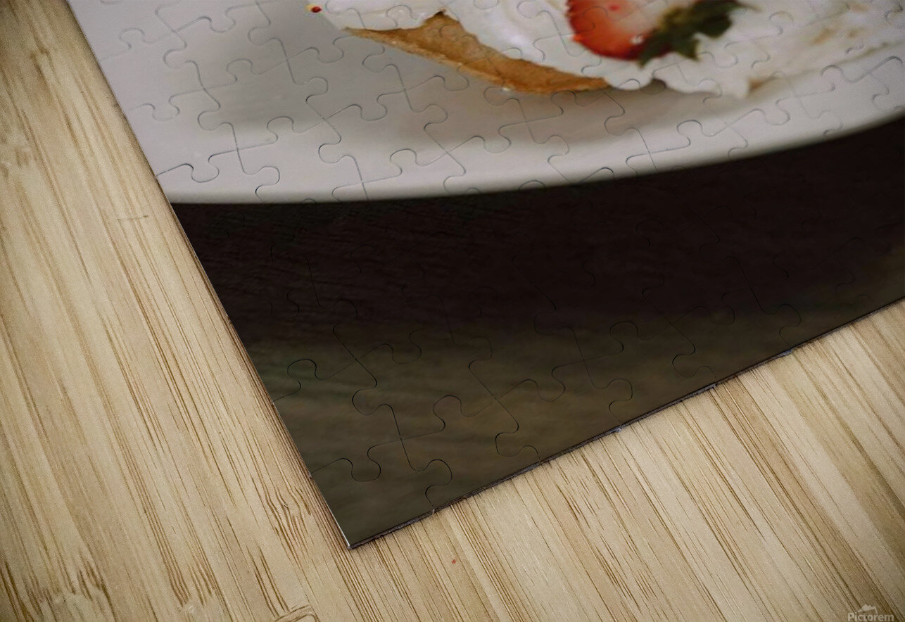 4131E6FF 2411 4CF1 B0E9 45164048328D Leanardo dafinshi Puzzle