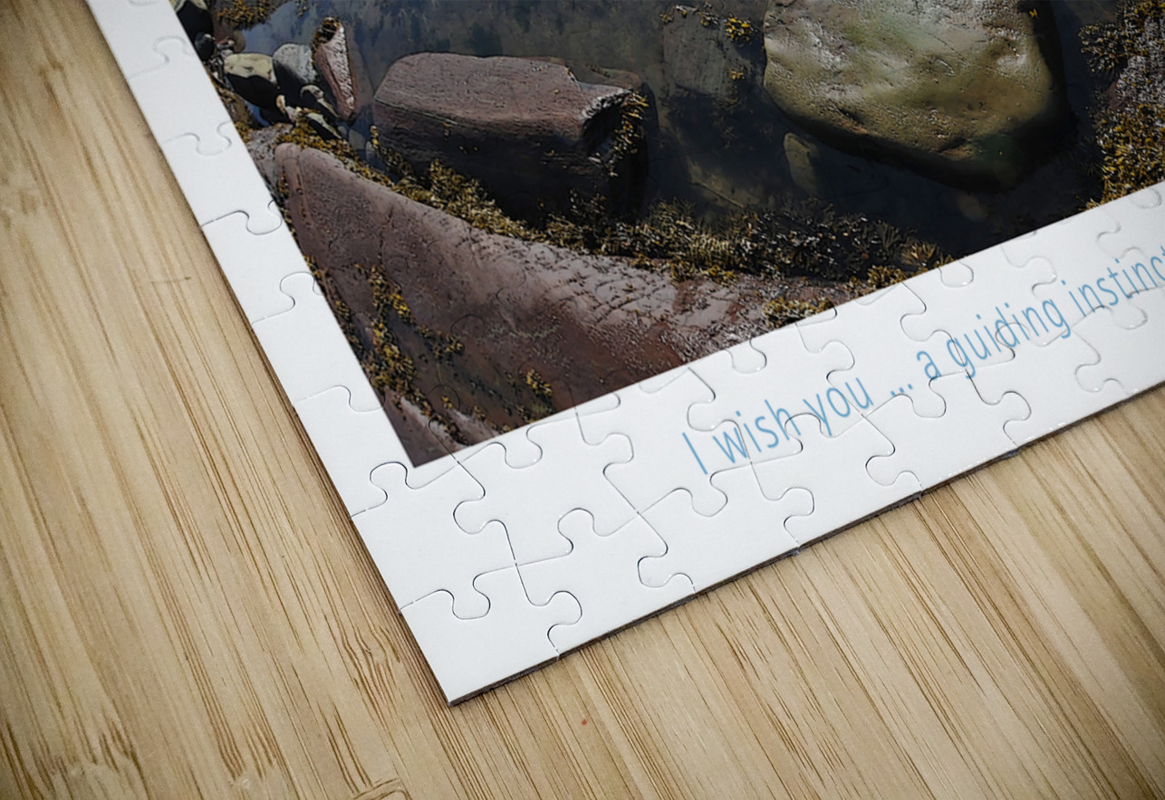 TRUST YOURSELF  Francis Pelletier Puzzle