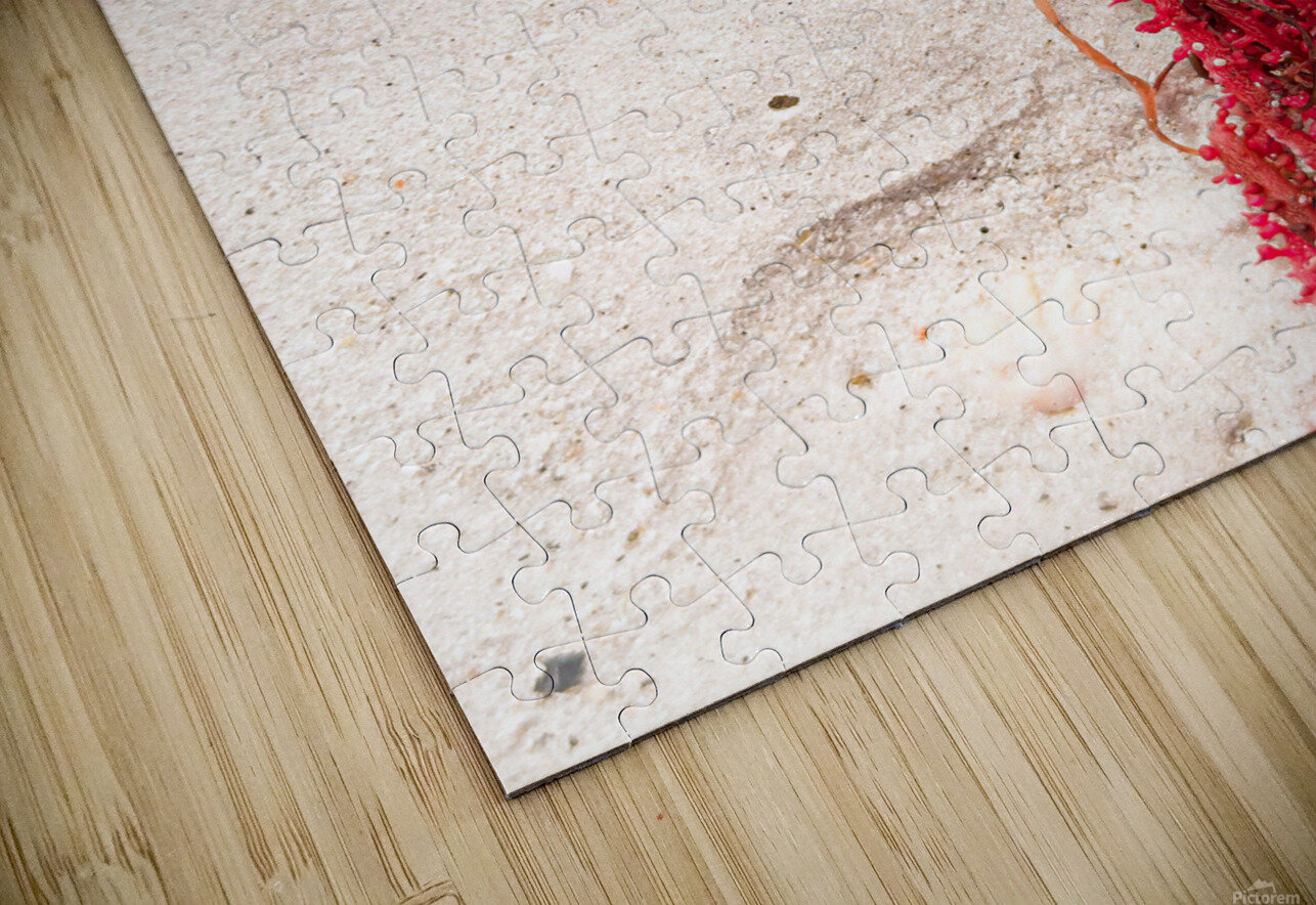 Naples Sand and Surf 30 Luxgaia Puzzle