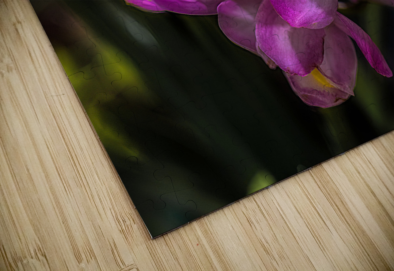 FLO 02267 John Walborn Promenade Photos Puzzle