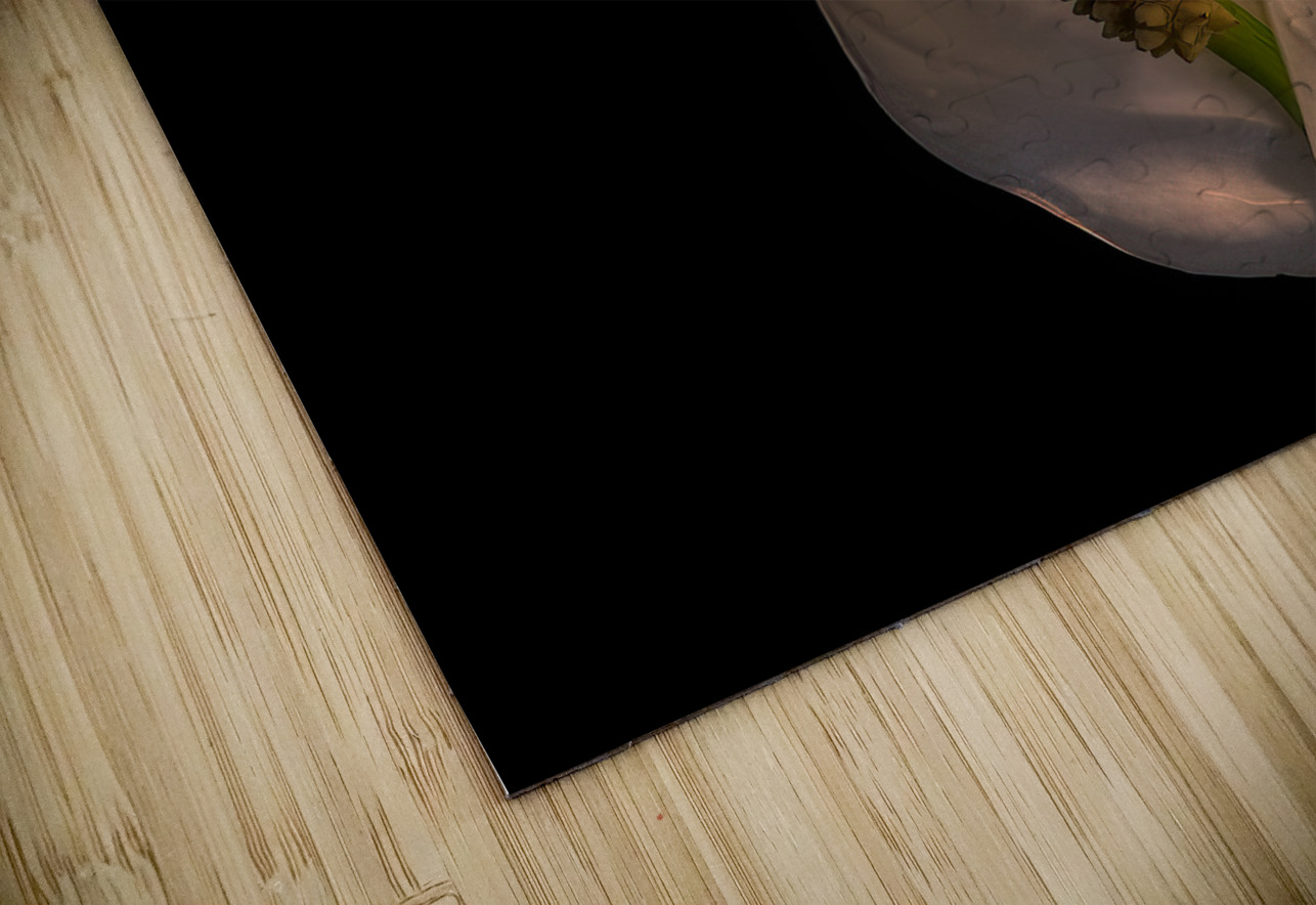 FLO 02218 John Walborn Promenade Photos Puzzle