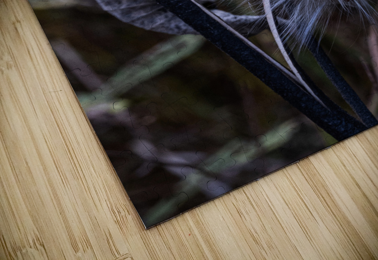 FLO 02312 John Walborn Promenade Photos Puzzle