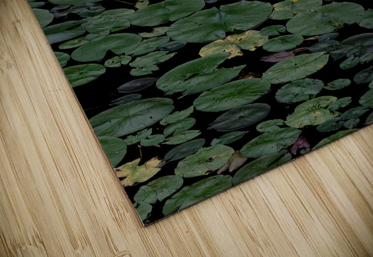 FLO 02302 John Walborn Promenade Photos Puzzle